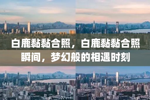 新澳及香港2025精准正版图库和规避迷惑的假象,根源解答、解释与落实